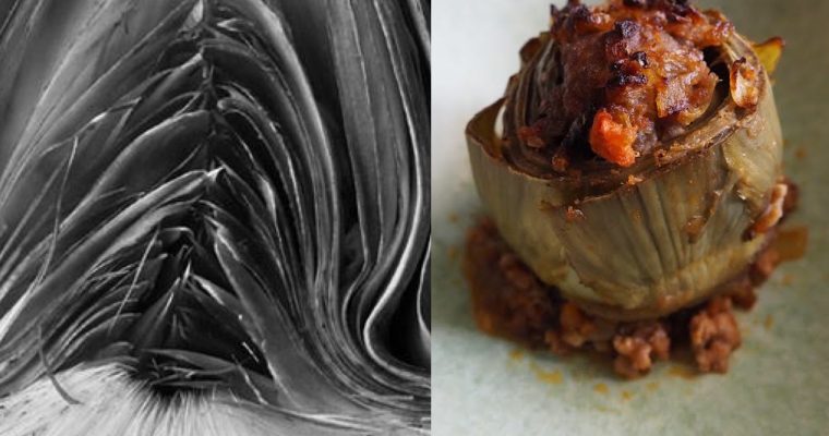 Menú Edward Weston (I): Alcachofas rellenas (ESP)