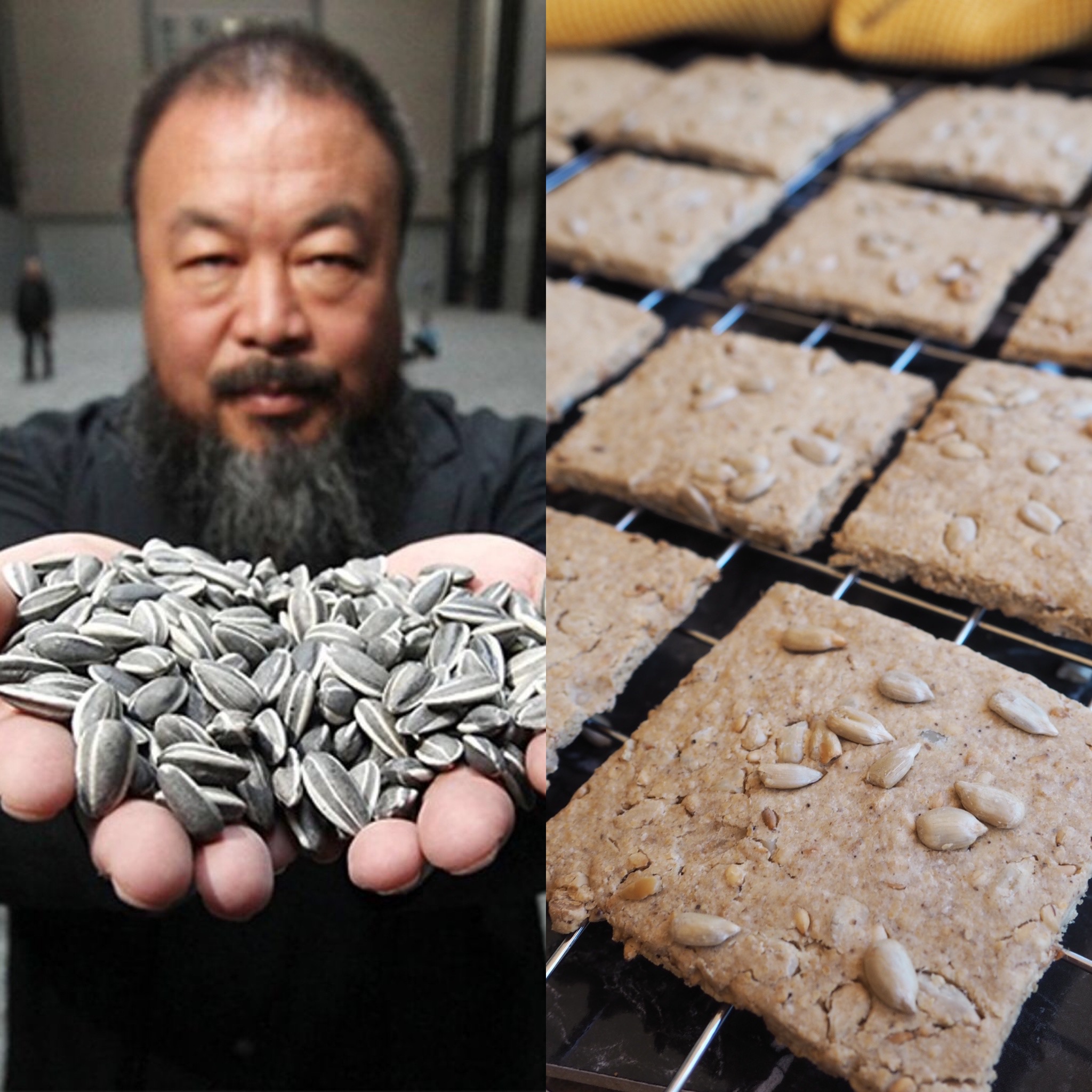 Ai Weiwei, les llavors de gira-sol i els crackers de pipes (CAT)